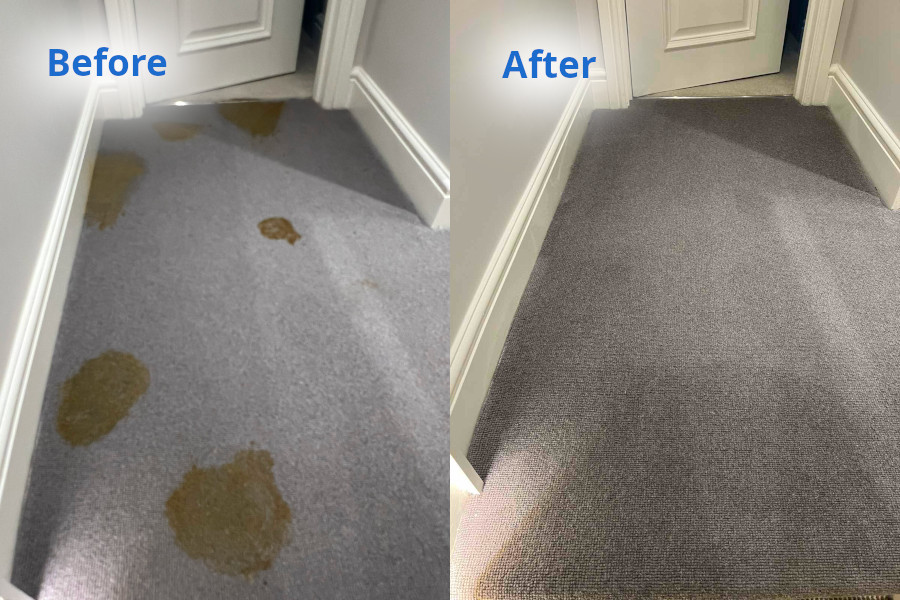 Carpet Cleaning before and after - Tokyngton