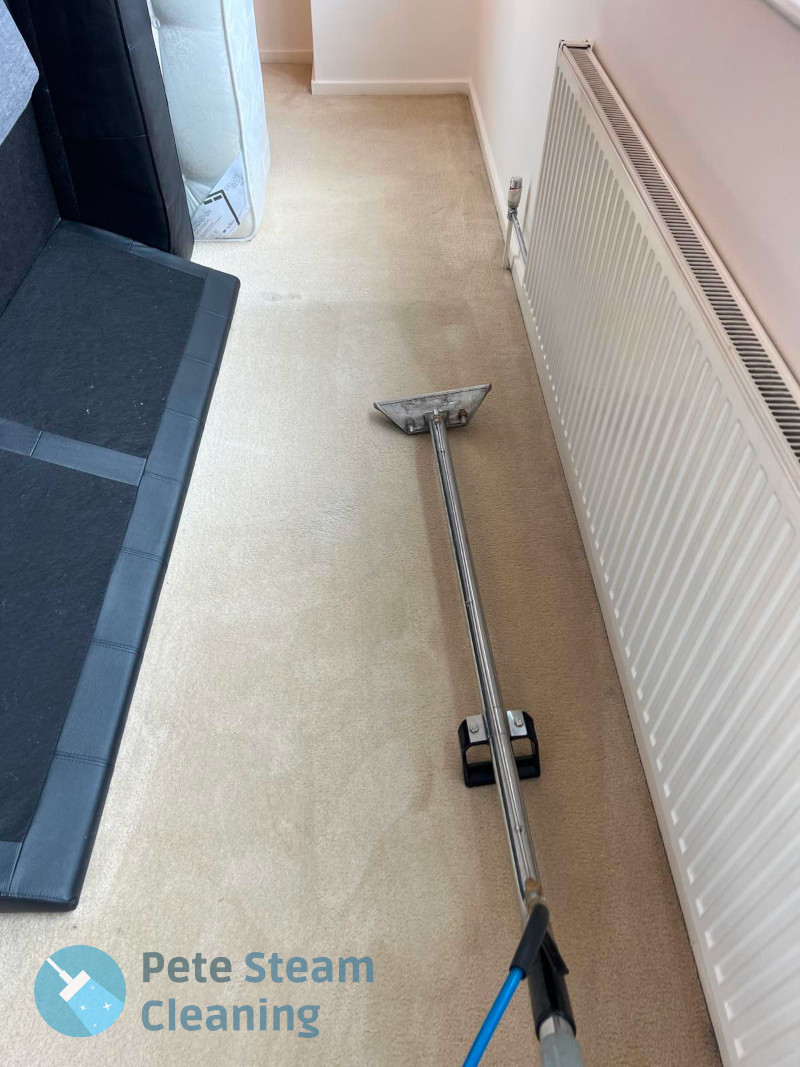 Professionally cleaned Carpet in Preston